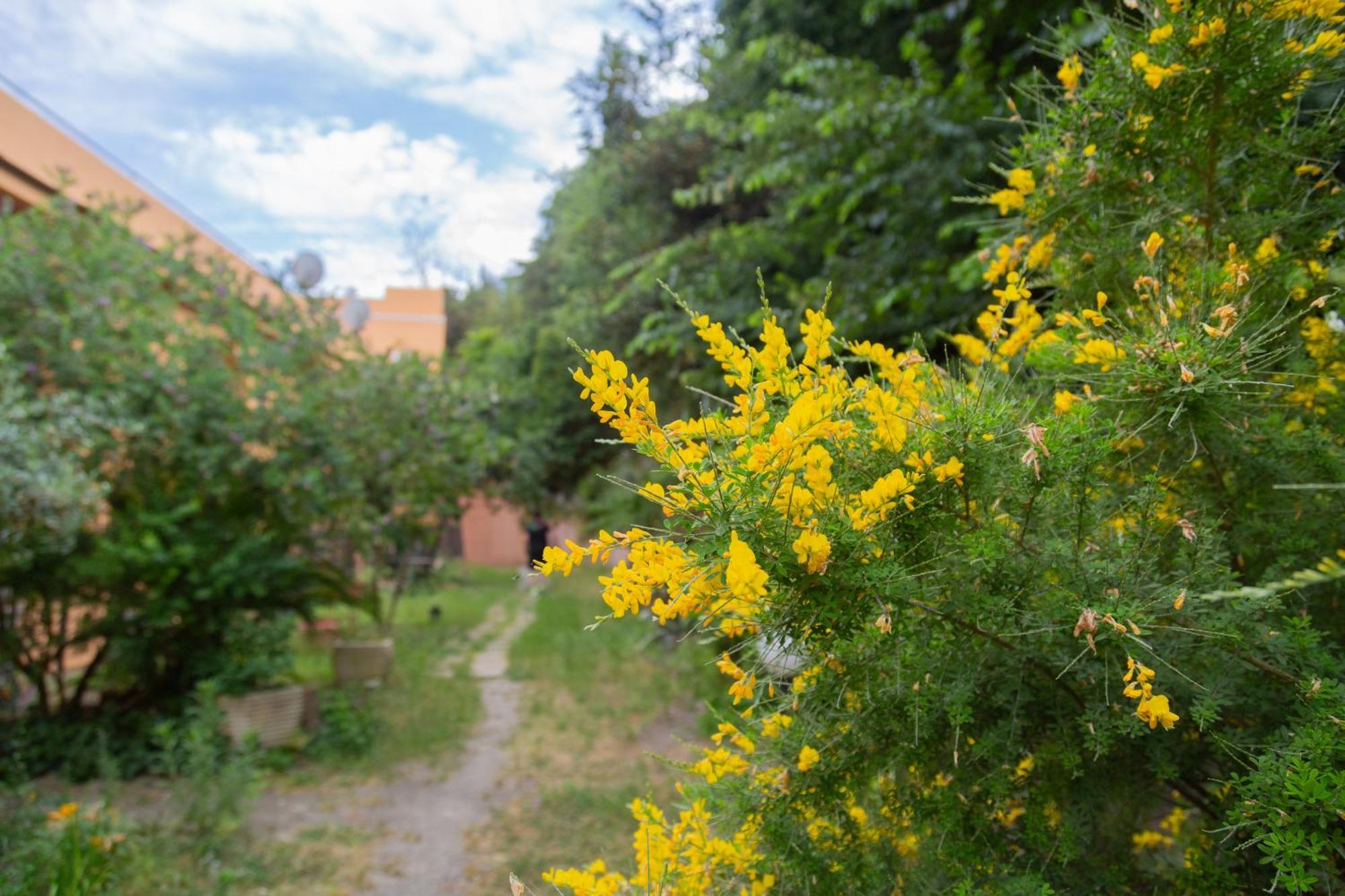 La Casa Di Nonna Peppina A Trastevere Rom Exterior foto